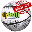 OLLY BALL 藝遊玩樂球 OLLYBALL