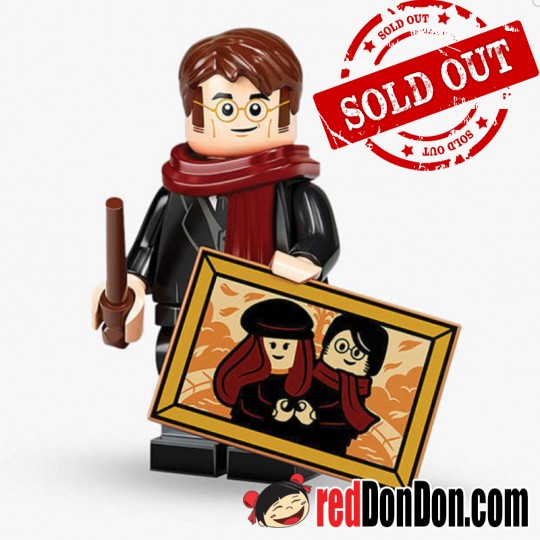 71028  James Potter - Harry Potter™ - LEGO Minifigures 樂高人仔