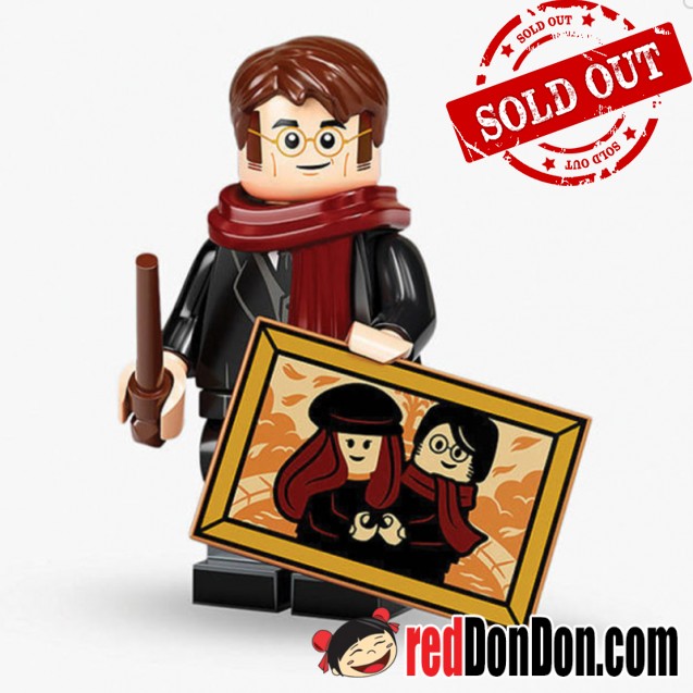 71028  James Potter - Harry Potter™ - LEGO Minifigures 樂高人仔