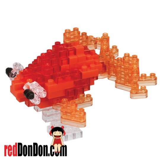 NBC-225 POPEYED GOLDFISH RED 凸眼金魚紅金