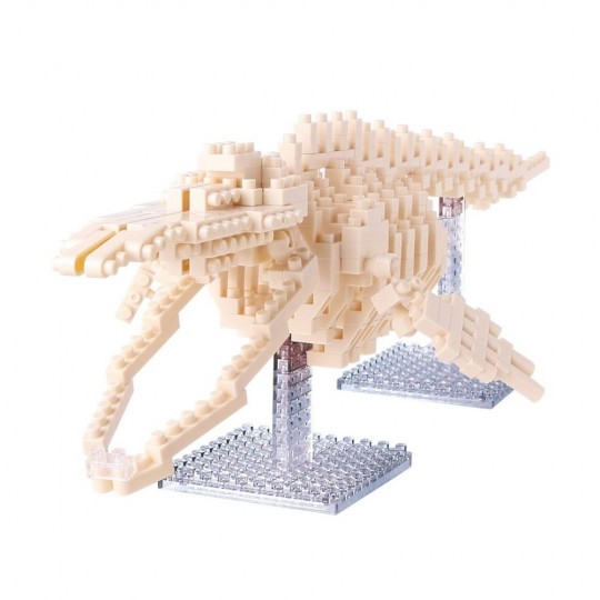 NBM-010 nanoblock BLUE WHALE SKELETON MODEL 藍鯨骨格模型   