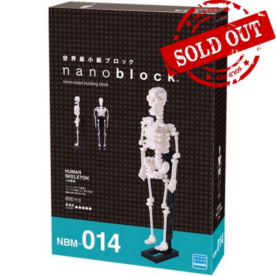 NBM-014 nanoblock 人體骨架   
