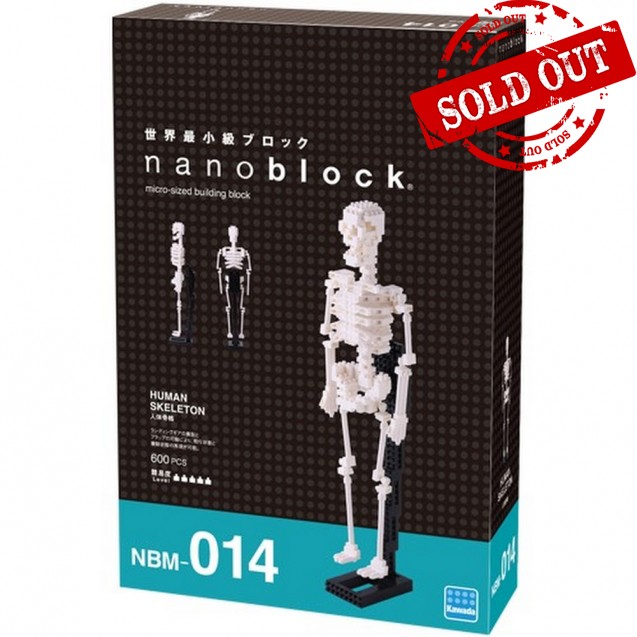 NBM-014 nanoblock 人體骨架   