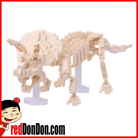 NBM-017 nanoblock TRICERATOPS SKELETON MODEL 三角龍骨架模型